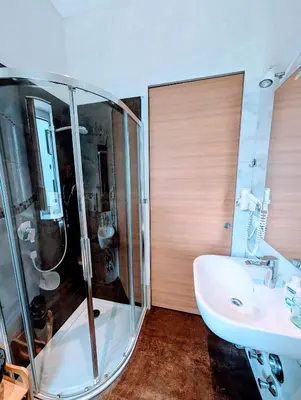a bathroom with a shower and a sink at Gardar Studio Fox in Bolzano