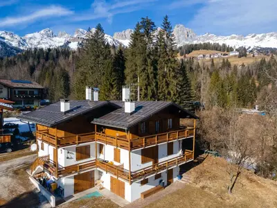 an aerial view of a house with a roof at Ciasa al Sol in Falcade