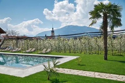 a resort with a pool and a palm tree and a building at Pension Pichler in Tirolo