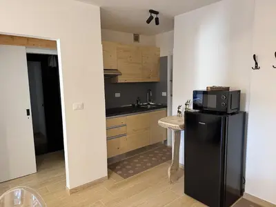 a kitchen with a black refrigerator and a counter at Ciasa Saslonch Apartment in Moena