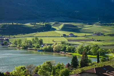 a view of a river with trees and fields at Ferienwohnungen Fuchsleitenhof am See in Caldaro
