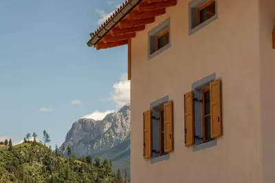a building with brown windows with mountains in the background at Alpinia in Moena