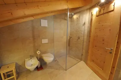 a bathroom with a shower and a toilet and a sink at Mountain Apartment Hapeli in Ortisei