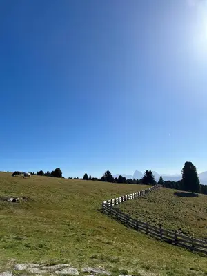 a field with a fence on top of a hill at Mira Sabiona Guesthouse in Gufidaun