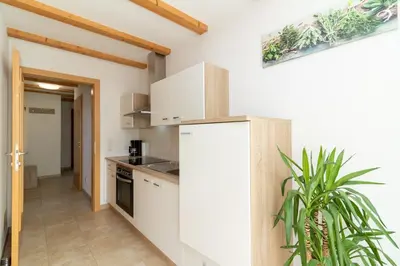 a kitchen with a white refrigerator and a plant at Winterlehof in Tires