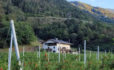 a house on the side of a hill with trees at Saringerhof in Rablà