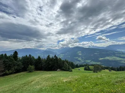 a green field with trees and mountains in the background at Haus Gläserer apartments in Villandro