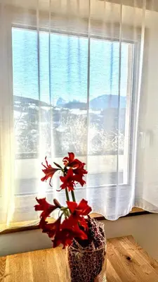 a vase with red flowers sitting on a table in front of a window at Haus Gläserer apartments in Villandro