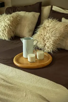 a tray with two glasses of milk on a couch at Sass Pordoi Moena in Moena
