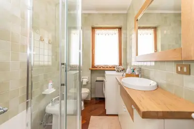 a bathroom with a shower and a sink and a toilet at Alpe Verde in Falcade