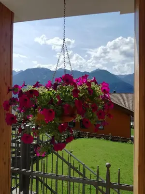 a hanging basket filled with pink flowers hanging from a porch at Villa in Val di Fiemme in Cavalese