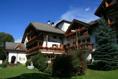 a large house with two pigeons on top of it at Apartments Residence Montana in Rasun di Sopra