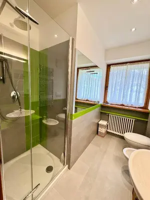 a bathroom with a shower and a toilet and a sink at Charme alpino e modernità-Appartamento ristrutturato a due passi dal centro in Cortina dʼAmpezzo