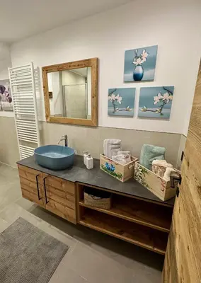 a bathroom with a sink and a mirror at Apartment Enrosadira in Taibon