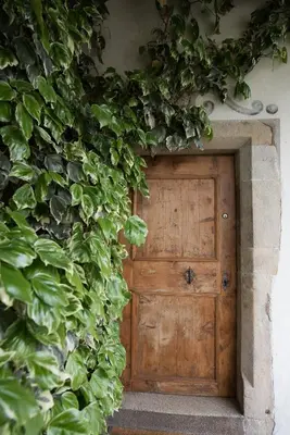 a wooden door with ivy on the side of a building at Ansitz Wendelstein in Appiano sulla Strada del Vino