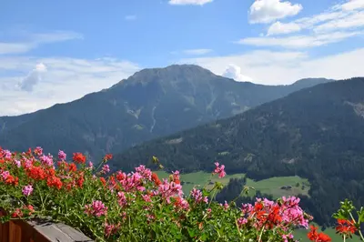a field of flowers with mountains in the background at Ortlerhof im Ultental - Urlaub auf dem Bauernhof in Ultimo