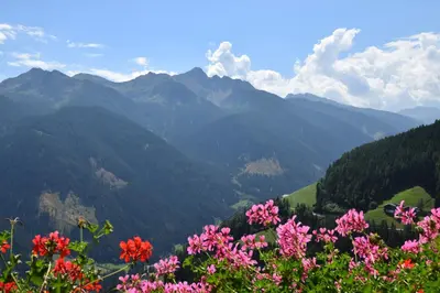 a view of a mountain valley with pink flowers at Ortlerhof im Ultental - Urlaub auf dem Bauernhof in Ultimo