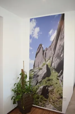 a picture of a mountain on a wall with a plant at Residence Ladurn in Tirolo