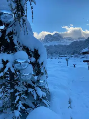 a snow covered tree with snow on its branches at Apartment Rosengarten - Rosenheim Apartments in Tires