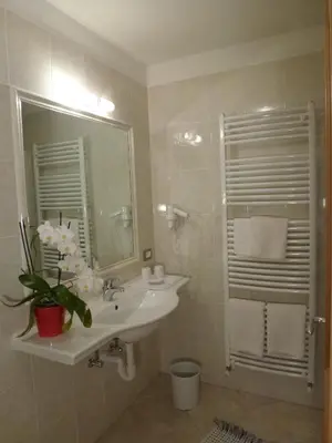 a bathroom with a sink and a mirror and a shower at Cedepuent de Sot in Selva di Val Gardena