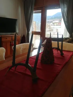 a red rug on the floor in a living room at Villa Istria Apartment in San Vito di Cadore