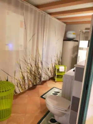 a bathroom with a toilet and a shower curtain at Casa Anelis in Bedollo