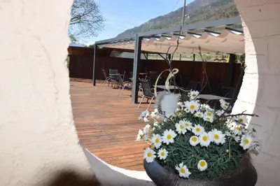 a vase filled with flowers on a wooden deck at Hotel Mondschein in Plaus