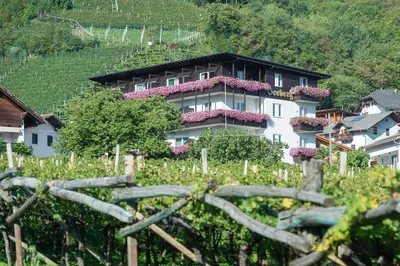 a house on a hill with flowers on it at Seeberg Garni Hotel in Caldaro