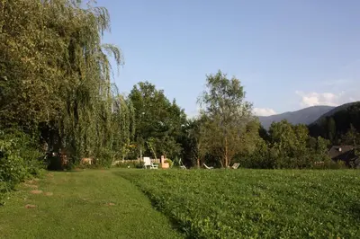a grass field with a tree and a path at Haus Ploner - Pichlerhof in Chienes