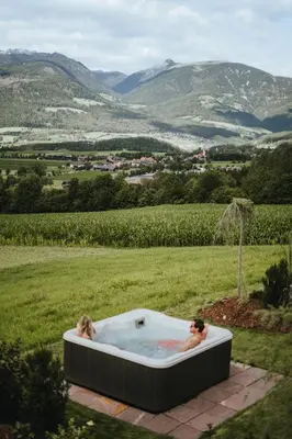 a bottle of alcohol sitting on a table with a chair at Brondstott Farm & Suites Kronplatz in Riscone