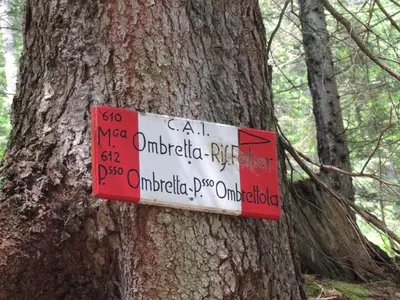 a sign on the side of a tree at Marmolada Escape in Malga Ciapela