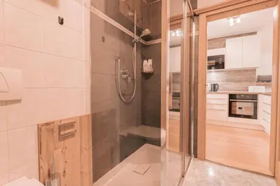 a bathroom with a shower with a glass door at Ladin Apartment in Antermoia