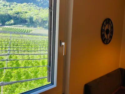 a window with a view of a vineyard at Wiesenheim-Dolomitenblick in Penone