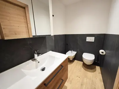 a bathroom with a white sink and a toilet at Alpine Lodge Tesero - Alpine Stay Apartments in Tesero