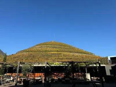 a large building with a large grass pyramid at Weingut Griesserhof in Varna