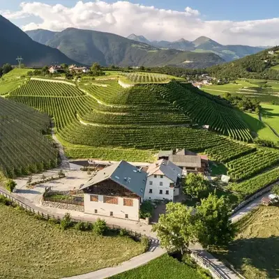 Weingut Griesserhof