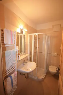 a bathroom with a shower and a sink and a toilet at Haus Schmiedhofer in Villabassa