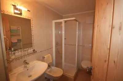 a bathroom with a shower and a sink and a toilet at Haus Schmiedhofer in Villabassa
