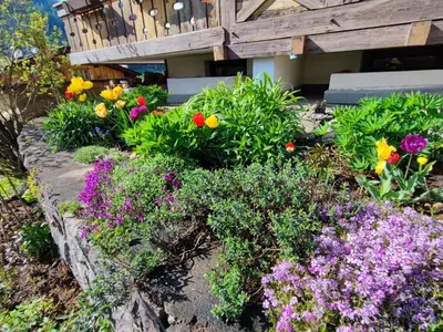 a garden of flowers in front of a house at Garofol da Mont-Dolomiti e Relax in Soraga