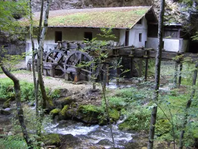 an old house in the middle of a forest at Appartamento-Wohnung Amblar in Cavareno