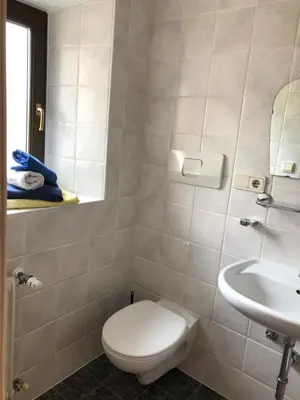 a bathroom with a toilet and a sink at Gasthof Hohenbichl in Terento