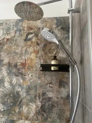 a shower head in a bathroom with a mural at Guest House Cemin in Predazzo