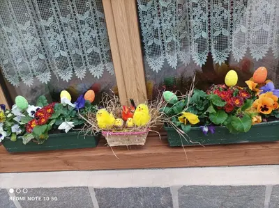 two flower boxes with birds and flowers on a window sill at Casa Roberta in Falcade