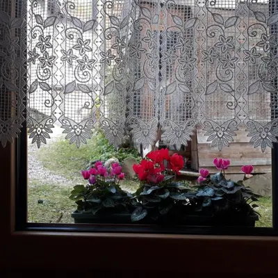 a window with a bunch of flowers on a window sill at Casa Roberta in Falcade