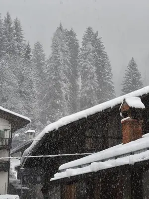 a snow covered roof of a house with trees in the background at Casa Roberta in Falcade