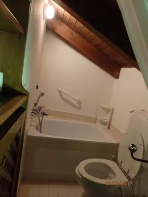 a bathroom with a toilet and a bath tub at Mansarda in chalet a Cortina in Cortina dʼAmpezzo