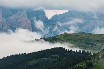 a misty valley in the mountains with trees at Rifugio Bec de Roces in Pallua