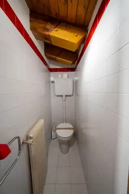 a bathroom with a toilet and a red stripe on the wall at Spacious Alpine Loft with Stunning Antelao Views in San Vito di Cadore