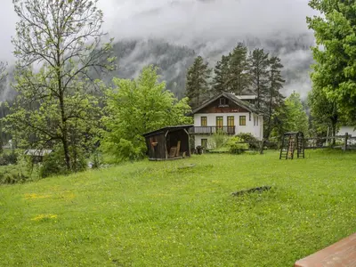 a house on a hill in a field with trees at Casa Salvaniera in San Vito di Cadore
