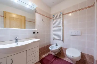 a bathroom with a sink and a toilet and a mirror at Cesa Masè in Pozza di Fassa